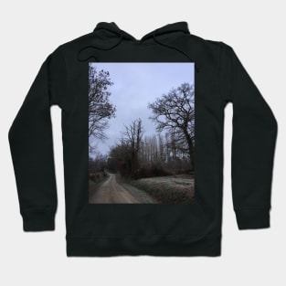 France, Winter Day Hoodie